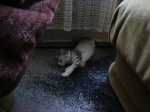 DSC00708.jpg