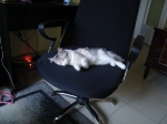 DSC00717.jpg