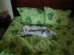 DSC02565.jpg