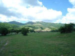DSC00063.JPG