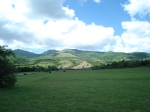 DSC00065.JPG