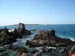 DSC02546.JPG