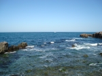 DSC02551.JPG