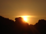 Image_045.jpg